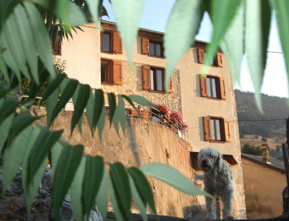 Gites Et Loisirs De Montagne Prades (Pyrenees-Orientales) Exterior photo